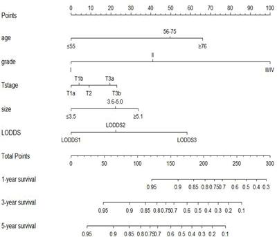 Prognostic model for the exemption of adjuvant chemotherapy in stage IIIC endometrial cancer patients